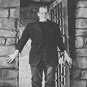 Película Frankenstein (3)-Trabalibros