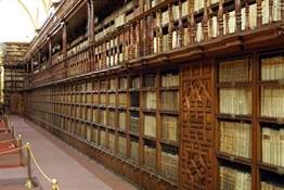 Biblioteca Palafoxiana Puebla México (6)-Trabalibros