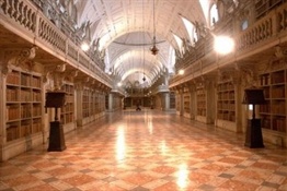 Biblioteca del Palacio Nacional de Mafra (Portugal)4-Trabalibros